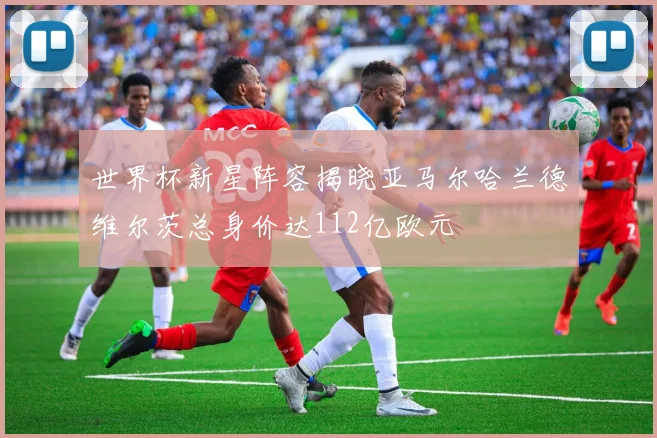 世界杯新星阵容揭晓亚马尔哈兰德维尔茨总身价达112亿欧元
