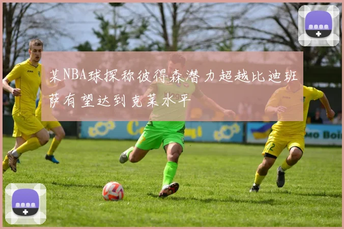 某NBA球探称彼得森潜力超越比迪班萨有望达到克莱水平