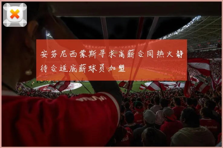 安芬尼西蒙斯寻求高薪合同热火静待合适底薪球员加盟