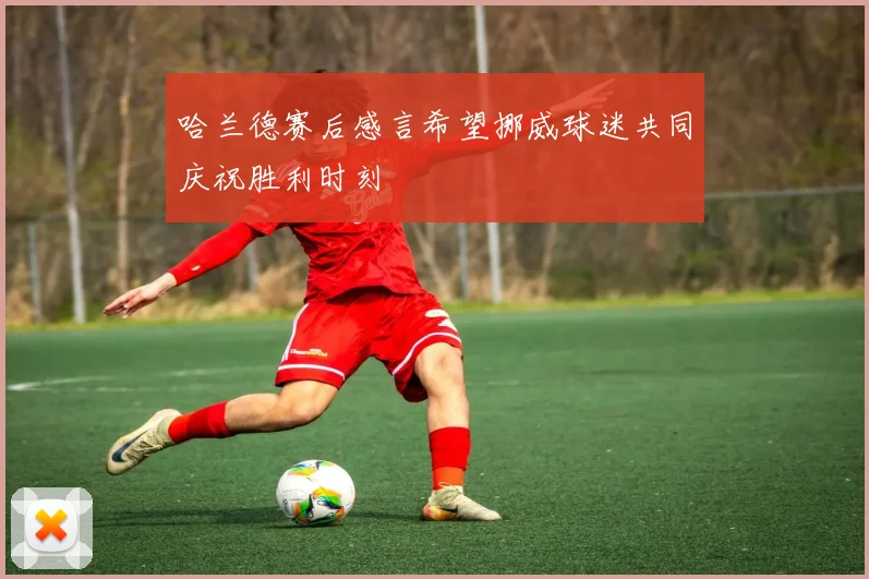 哈兰德赛后感言希望挪威球迷共同庆祝胜利时刻